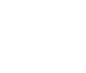 Diseño y Producción